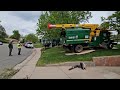 A tricky tree removal by davey tree experts