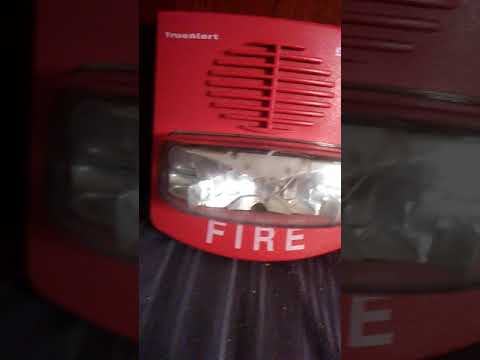 Review of the  simplex  4903-9417 addressable smart sync  truealert horn strobe