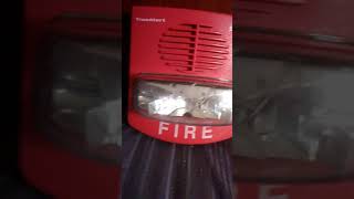 Review of the  simplex  4903-9417 addressable smart sync  truealert horn strobe