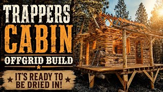 The Pressure Is On! Rafters Up Before the Rain | Trappers Cabin Off-Grid Build #20