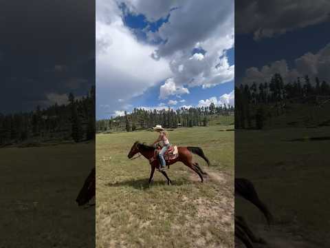 going on a four hour trail ride to the swimming hole! #horseriding #trailride #gallop # cowgirls