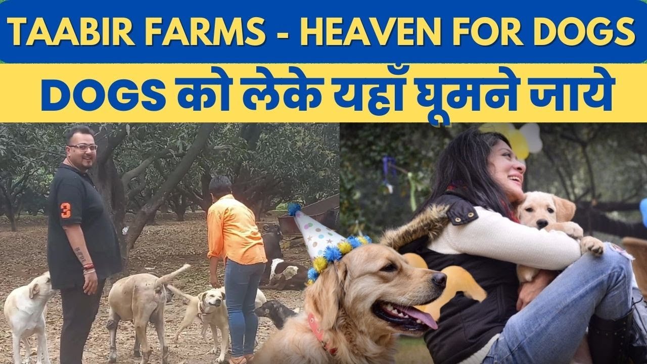 taabir-farms-for-dogs-in-greater-noida-dog-farms-in-delhi-ncr-dog