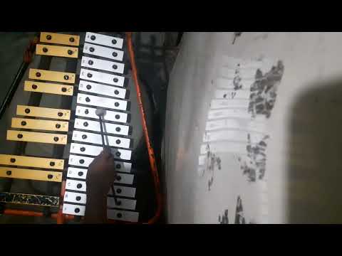 La danza Polka de la Rosa en lira ( the best ) #honduras