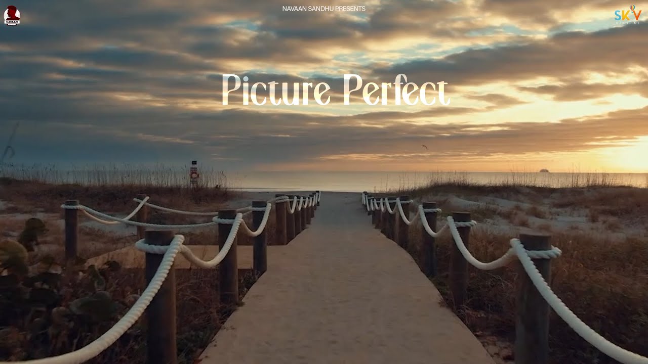 Picture Perfect