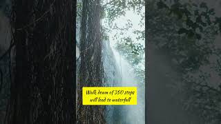 Mallela Theertham Waterfalls Srisailam. Best Waterfalls Near Hyderabad. Srisailam Waterfalls.