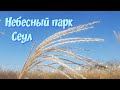 Небесный парк в Сеуле. 하늘공원