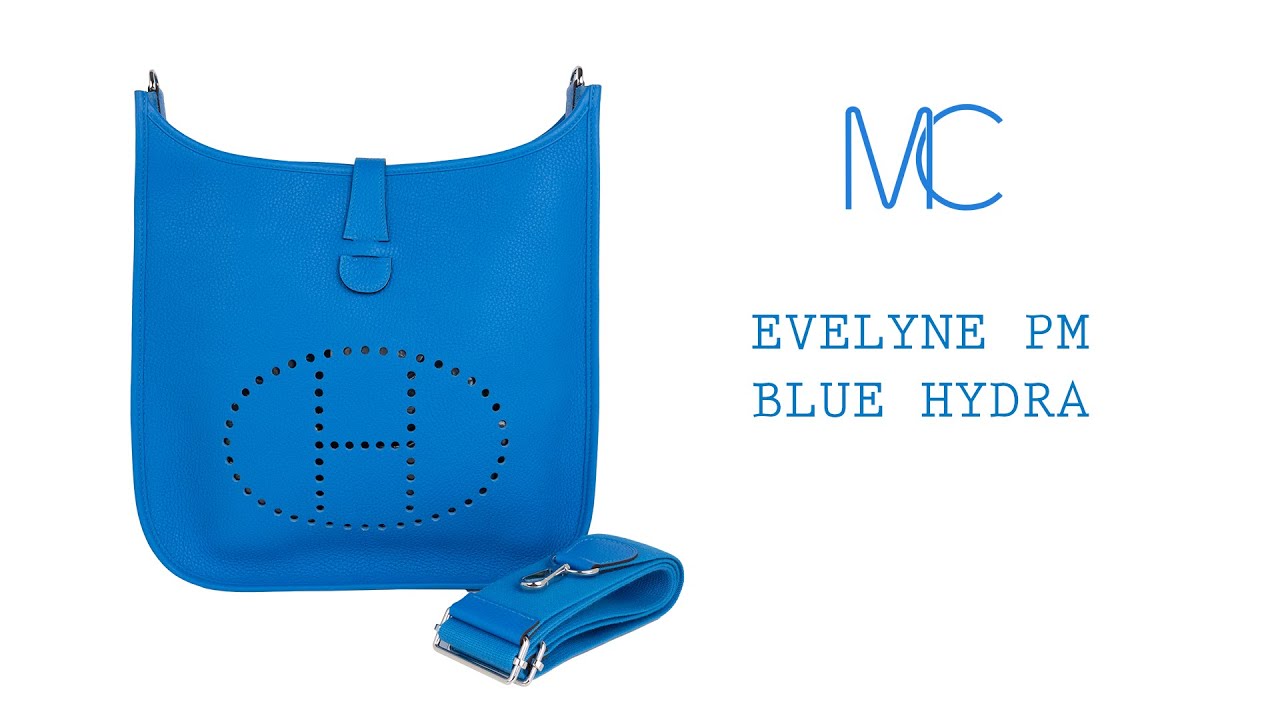 Hermes Evelyne PM Blue Pale Bag Gold Hardware Clemence Leather – Mightychic