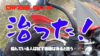 CRF250Lのエンスト病が「ほぼ」治った！