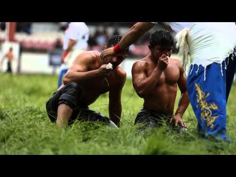 Edirne Kirkpinar 2014 Oil Wrestling