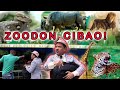 Zoológico Dominicano Será Vendido A (Don Cibao)