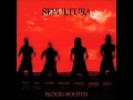 Sepultura - Beneath the remains - Escape to the void (Blood Rooted)