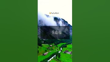 قران #اللحيدان #راحة_نفسية #تلاوة_خاشعة #قرآن #قران_كريم