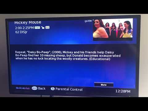 The Guide Information on Daisy Bo-Peep