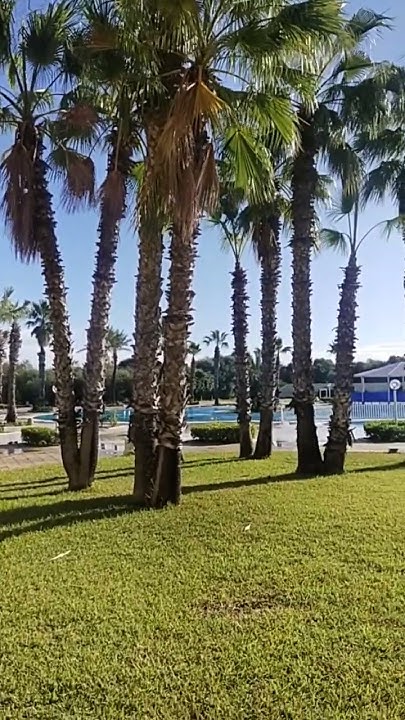 ramadan vibes in tunisia