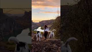 Perrine Bridge over the Snake River #visitidaho
