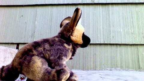 Webkinz \\Maps\\ music video