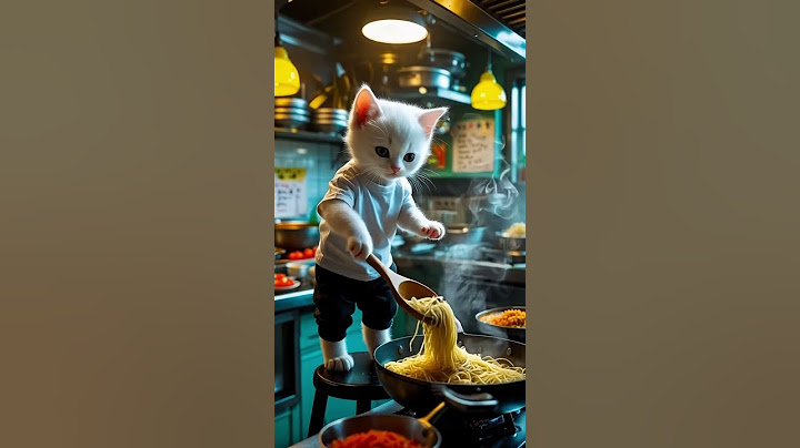 Poor Cat Just Want Movie Tickets | Poor Cat Life  #cat#cute #cutecat #catshorts