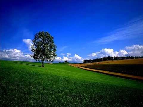 Muslim songs of Kerala