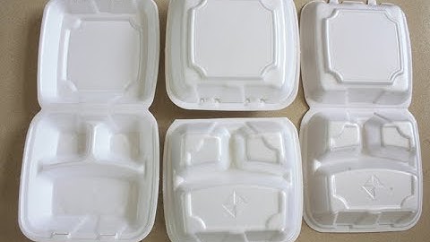 Fully automatic ps foam food container production line/fast food boxes Processing machine