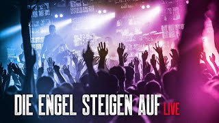 Subway to Sally - Die Engel steigen auf - Live (&quot;Alles was das Herz will&quot;)