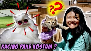 KUCING LUCU PAKE BAJU ? GOKIL ! Kak Almeyda Nayara Punya 9 Kucing !! Vlog Lucu | CnX Adventurers