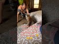 Marcel and the Father of the Morning starts with a minion 😸😸😸 #2023 #so #brigade #cat #funny #beat