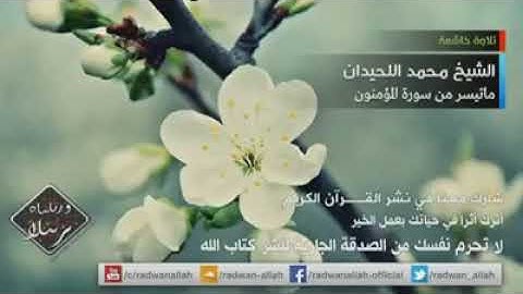 تلاوة مؤثرة زلزلة القلوب القاسية للشيخ محمد اللحيدان__ماتيسر من سورة المؤمنون