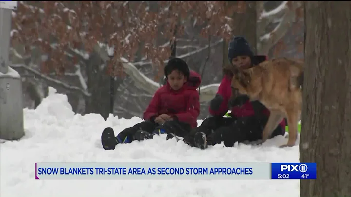 Making the most of a snowy day in Brooklyn