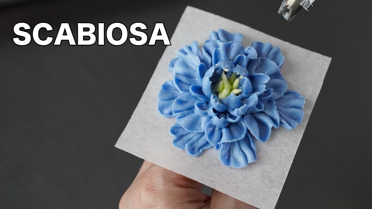 How to pipe buttercream scabiosa [ Cake Decorating For Beginners ]