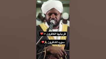شيخ نورين محمد صديق سوره الكافرون 🌙♥️Norren Mohamed Siddiq 🌙Quran Karim 🙏
