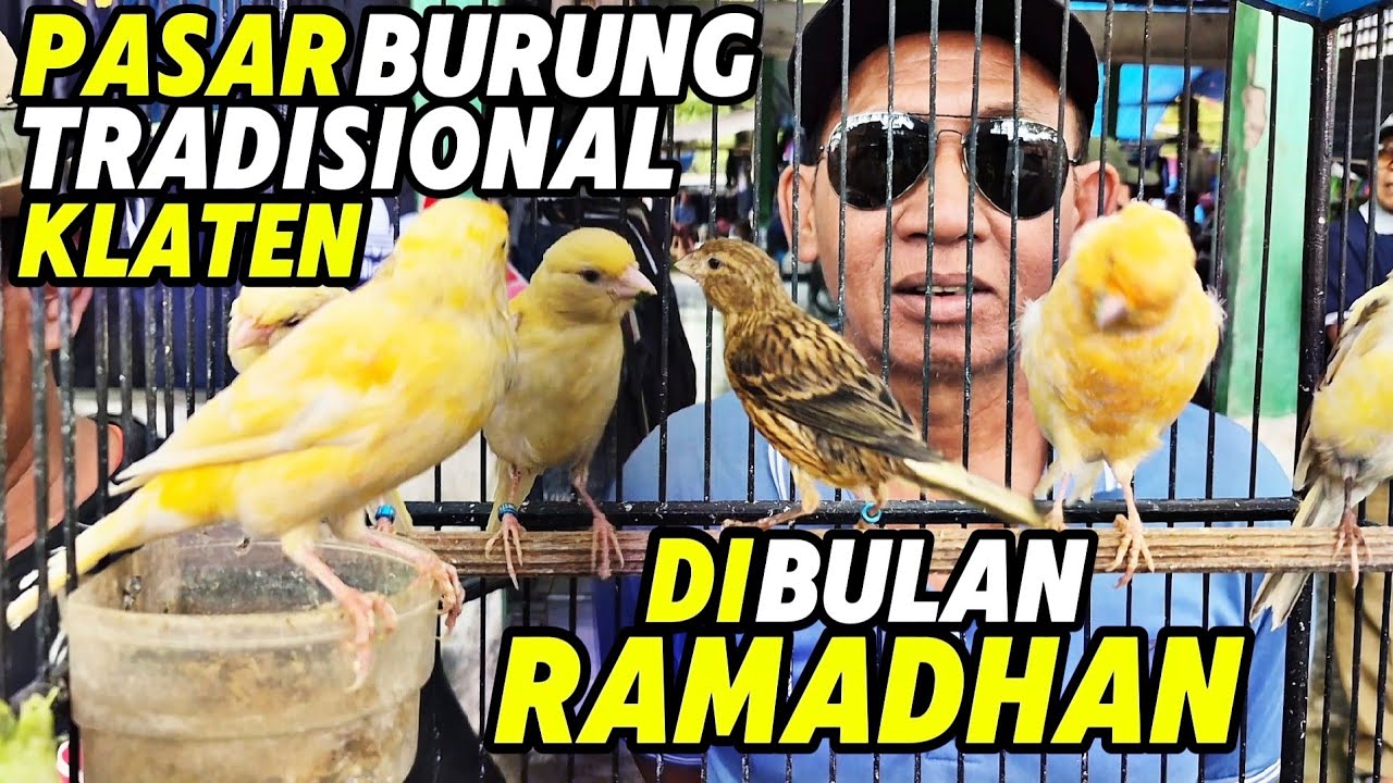 VLOG PASAR‼️Suasana PASAR BURUNG TRADISIONAL KLATEN di Bulan RAMADHAN...