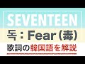 【歌詞で学ぶ韓国語】독:Fear(毒)/SEVENTEEN(セブチ)の歌詞を日本語で詳しく解説!