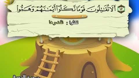 9 - سورة التوبة . المصحف المعلم للشيخ محمد صديق المنشاوي رحمه الله