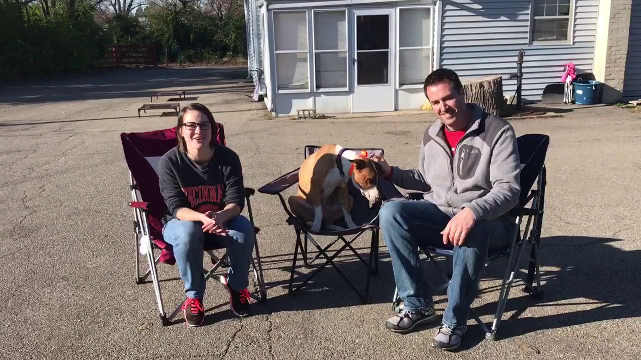 TACO'S OWNERS TESTIMONIAL puppy training crate schedule