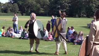 Viking Day in Chertsey 24th of September 2016