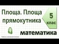 Площа. Площа прямокутника. Математика 5 клас