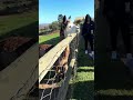 Feeding an Alpaca at The Alpaca Loom Coffee Shop and Weaving Studio, South Africa 🇿🇦