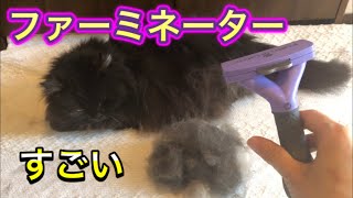 【ファーミネーター】大型長毛猫、はじめて使ってみたら冬毛がごっそり。