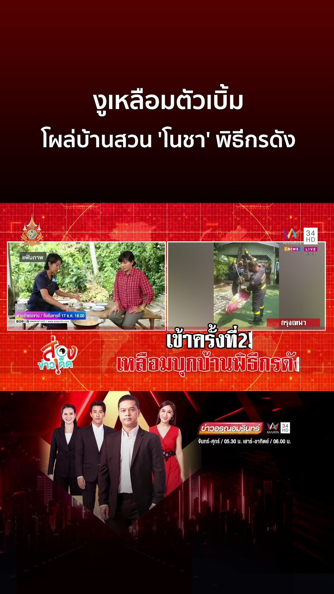 งูเหลือมตัวเบิ้มโผล่บ้านสวน 'โนชา' พิธีกรดัง | ข่าวอรุณอมรินทร์ | ข่าวเที่ยงอมรินทร์