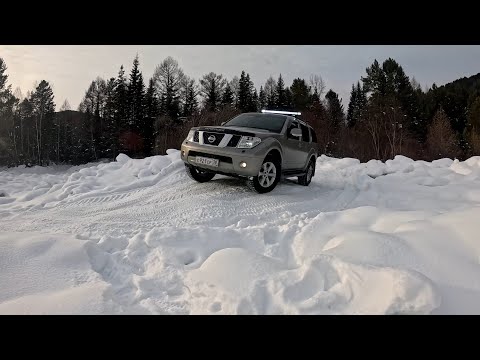 Видео: Дорога в Выгузово 09.02.24 off road Nissan Pathfinder R51