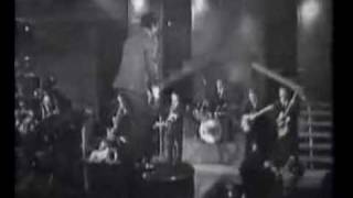 Video thumbnail of "Little Richard Whole Lotta Shakin Going On"
