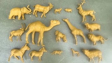 Tên và rửa sạch các con vật, bò,hươu cao cổ, ngựa vằn, khỉ đột, sư tử, hổ, lạc đà