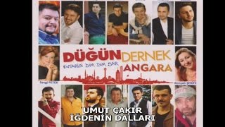 UMUT ÇAKIR - İĞDENİN DALLARI Resimi