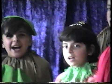 1995 წლის გორის მე–7 სკოლის მე–4ა კლასი (ნაწილი II)