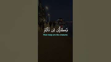 تلاوة خاشعة لآيات من كتاب الله #القرآن_الكريم #القرآن #الله #اكسبلور #foryou #راحة_نفسية #viral #fyp