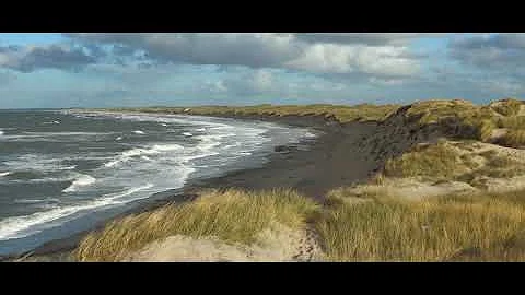 Bioirrigation | Wikipedia audio article