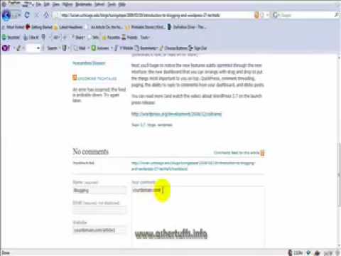 Link Building Services