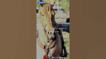Surah Yaseen (yasin) urdu translation only  سورة يس | urdu tarjuma #surahyaseen #surahyasin #quran