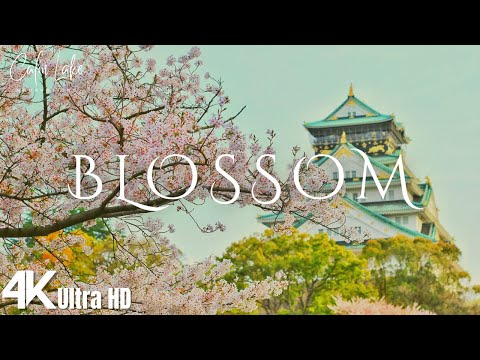 Blossom 4K | Cherry Blossom with Flute Music | Peach, Apple, Plum, Magnolia Flowers in Bloom UHD
