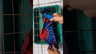 Membuat totebag tie dye  / how to make totebag tie dye